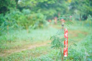 BIB: 
                            <button type="button" onclick="openModal(19428805)" class="btn btn-primary btn-sm float-right btn-popup" data-toggle="modal" data-target=".modal-high-quality">
                        <i class="fas fa-shopping-cart"></i> Add to Cart
                    </button>
                                            <button type="button" onclick="isThisMe(19428805, true)" class="btn btn-success btn-sm float-right btn-popup btn-isme hidden" data-toggle="tooltip" data-placement="bottom" title="นี่คือรูปของคุณใช่ไหม คลิกที่นี่เพื่อเอาเข้าอัลบั้ม">
                        <i class="fas fa-plus"></i> Add to album
                    </button>
                    <button type="button" onclick="isThisMe(19428805, false)" class="btn btn-warning btn-sm float-right btn-popup btn-isnotme hidden">
                        <i class="fas fa-ban"></i> Remove from album
                    </button>